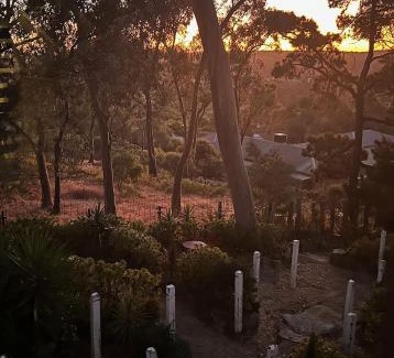 Castlemaine Bed & Breakfast | be&be castlemaine