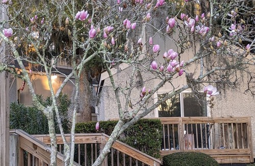 St. Simons Island Condo | Beach, Bike and Bogey! Located in Sea Palms Resort, a short drive to the beach.