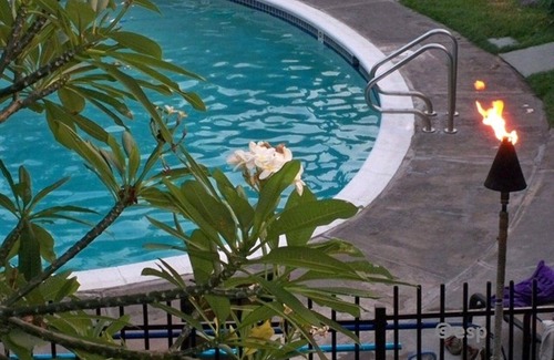 Historic Kailua Village Condo | Beach Condo, Lovely, Clean, Comfy Heart of Kona! Poolside, Hot Tub, Beach Stuff