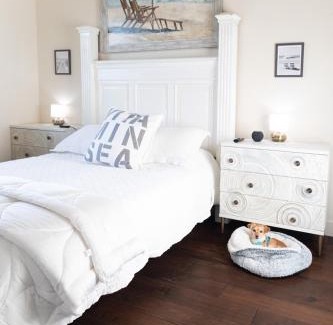 Trailer Estates Apartment | Beach Downtown Pet-friendly 1 BD @ The Park-633