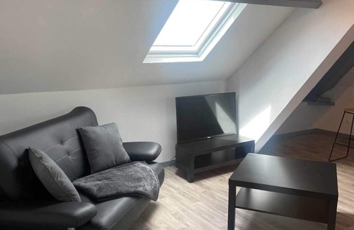Sedan Apartment | Beau Loft Neuf Face au Château de Sedan- 1 Chambre- 40m2- Tout Confort- Netflix