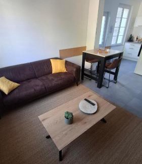 Beaugency Apartment | Beaugency RDC avec cours