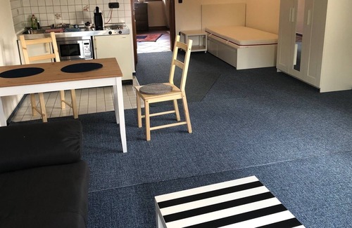 Neustadt-Duttweiler Apartment | Beautiful 1-room apartment in the wine village Duttweiler, 45 sqm with kitchen and bathroom
