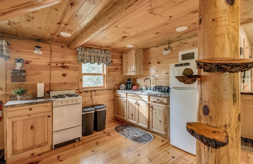 Brantingham Cabin | Beautiful Adirondack Cabin Resort 365/days of Outdoor Family Fun!