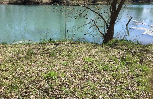 Staples Cabin | Beautiful and unique property on the San Marcos River. Great get away! nnn