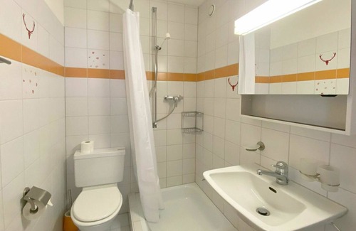Parpan Apartment | Beautiful apartment for 5 guests with WIFI, TV and balcony