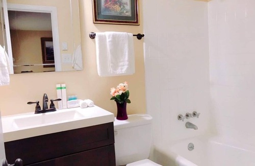 Downtown Greensboro Apartment | Beautiful apartment in Historic Downtown Location