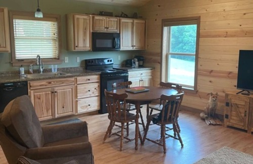 James Creek Cabin | Beautiful Cabin 1 Mile from the Boat Launch and Close to Many Others!
