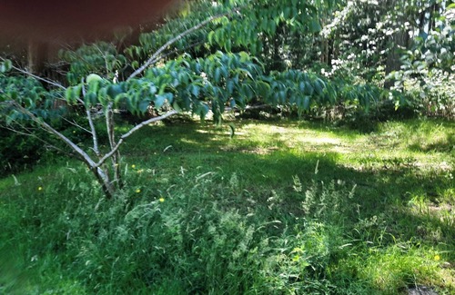 Brew Bay Cabin | Beautiful Cabin close to trails for biking/hiking several beautiful beaches.