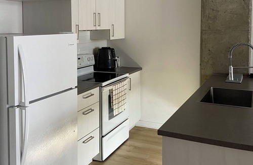 Bout-de-l'Ile House | Beautiful Condo East Montreal