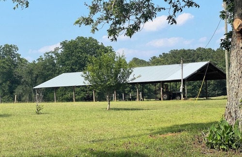 Skipperville House | Beautiful family-sized retreat near Troy University. Large Porch & Cozy Patio!