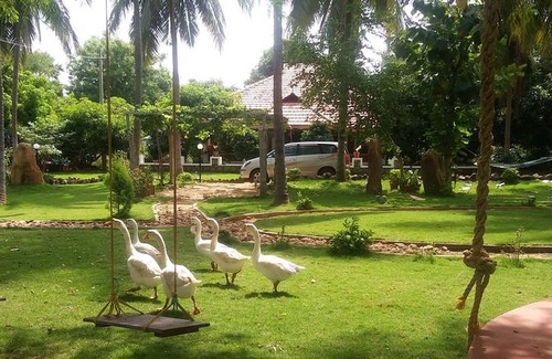 Chittur Other | Beautiful Farm House in the heart of Mango Village