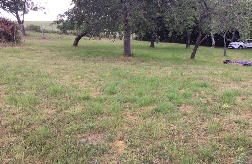 Arronnes House | BEAUTIFUL FARM IN THE HEART OF BOURBONNAIS