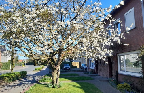 Cloppenburg Apartment | Beautiful ground floor apartment 65sqm, fully equipped with beautiful garden and terrace
