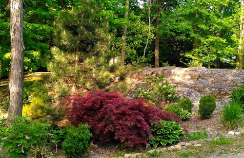Shelton Apartment | Beautiful Guest Suite Surrounded in Nature