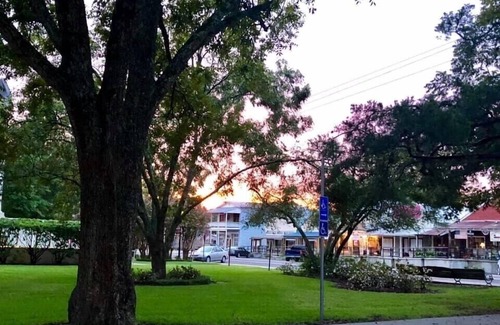 Coldspring House | Beautiful Historical Cottage on the Courthouse Square!