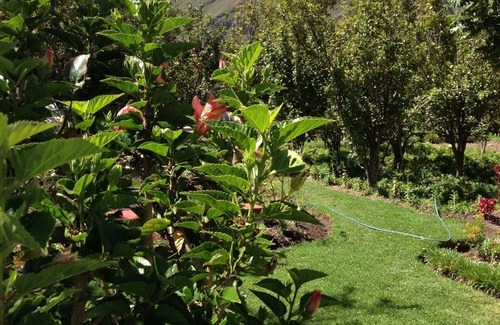 Urubamba House | Beautiful Home for Rent in the Sacred Valley of the Inca