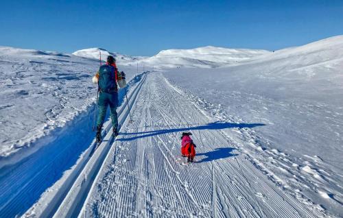Maurset House | Beautiful Home In Vøringsfoss With Wifi