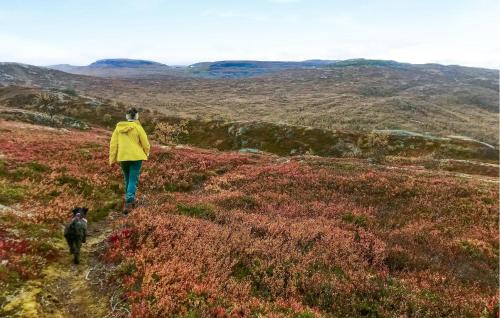 Maurset House | Beautiful Home In Vøringsfoss With Wifi