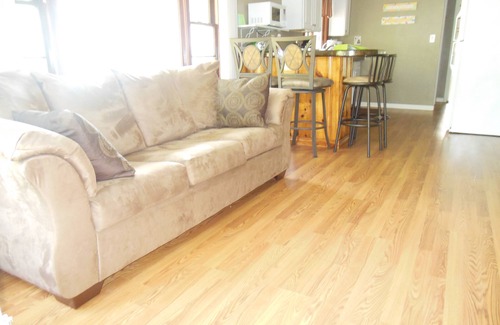 Lake Erie Beach House | Beautiful house close to the beach and Mickey Rats