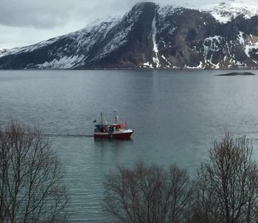 Tromvik Villa | Beautiful house with a unique and spectacular view