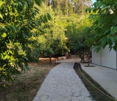 Trifylia Apartment | Beautiful little stone house!
