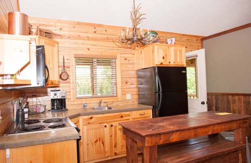 Sylvan Shores Cabin | Beautiful Log Cabin with Amazing Views of Beaver Lake