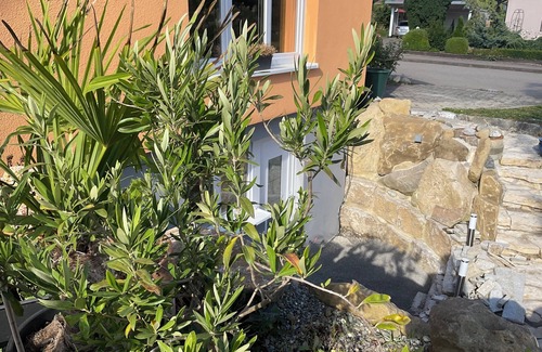 Hirschegg Apartment | Beautiful, modern vacation apartment in a quiet location with sun terrace