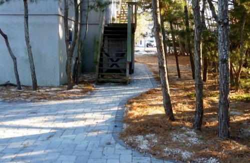 Loveladies House | Beautiful Oceanside 5 BR, 3rd Home From Private Beach, Great Ocean Views