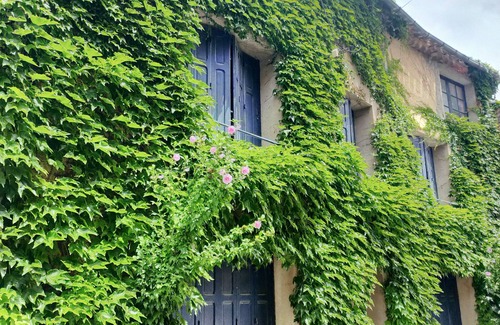 Laure-Minervois House | Beautiful, peaceful village house