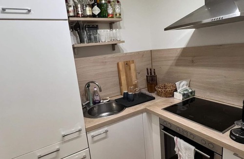 Ehrenbreitstein Apartment | Beautiful penthouse apartment right on the Deutsches Eck