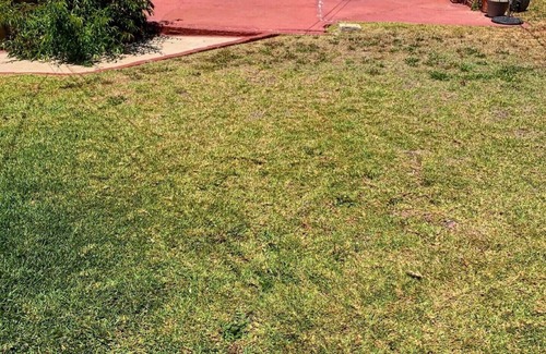 Los Angeles House | Beautiful private residence in quiet neighborhood. 5 mins. from SoFi Stadium