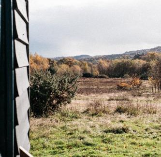 Liss Other | Beautiful, Secluded Shepherd's Hut in the National Park
