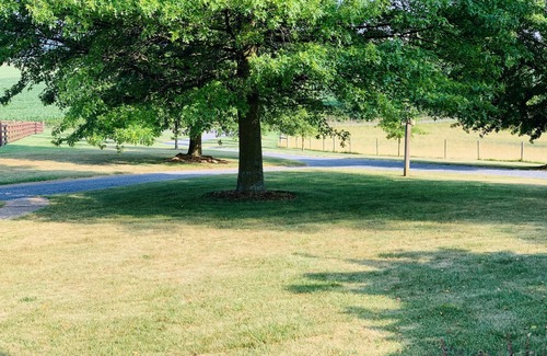 Linville House | Beautiful spacious house just 10 mins from Harrisonburg