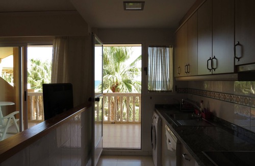 Oliva Apartment | Beautiful Stella apartment in 1st line on the sea with swimming pool, palm tree