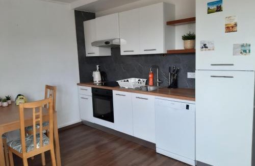 Ferney-Voltaire Apartment | Beautiful Studio at Geneva airport Ferney Voltaire