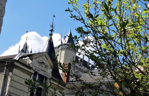 Saumur Apartment | Beautiful studio between Chateau and Loire