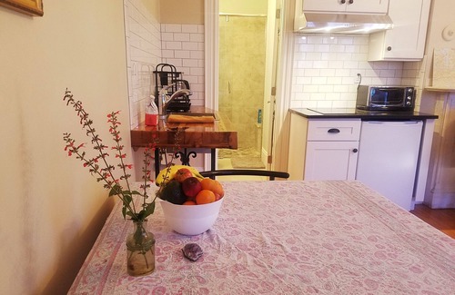 Dudley Square Apartment | Beautiful studio in historic neighborhood of Boston. Super close to downtown!
