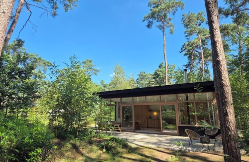 Lille House | Beautiful stylish bungalow with 2000 m2 of private forest in the Flemish Kempen