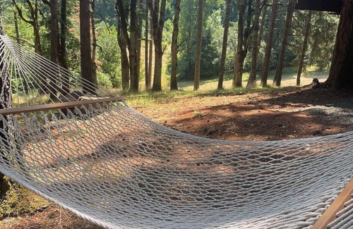 Monmouth Cabin | Beautiful treehouse cabin in the Willamette Valley