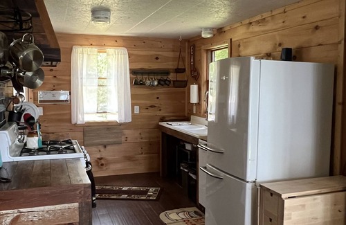 Sayner Cabin | Beautiful Two Bedroom cabin on Plum Lake