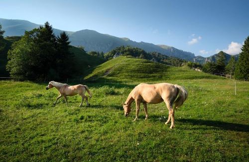 Castione della Presolana Bed & Breakfast | BeB CasaCuore Presolana