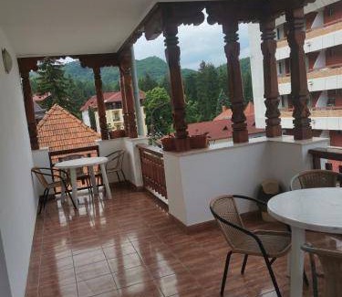 Baile Olanesti Bed & Breakfast | Bed and breakfast ∙ 2 guests