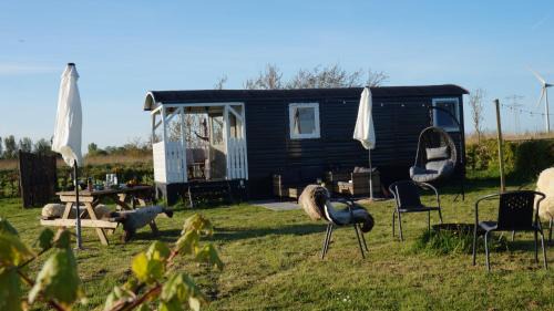 Waarland Bed & Breakfast | Bed and Breakfast Het schapenlandje