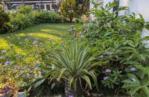Moshi House | Bed and Breakfast in Central Moshi