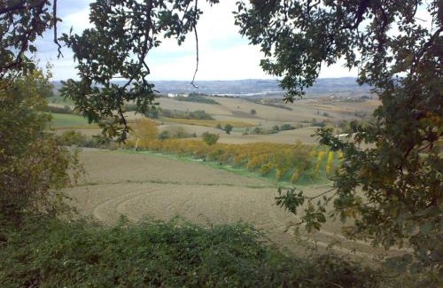 Staffolo Bed & Breakfast | Bed and Breakfast La casa delle rondini