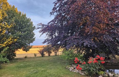 Mucheln House | Bed & Breakfast Birgit Fröhlich