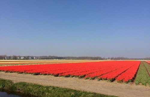 Lisse City Center Bed & Breakfast | Bed & Breakfast De Vier Seizoenen