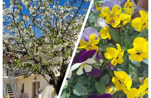Borgo Grotta Gigante Bed & Breakfast | Bed & Breakfast Barbara