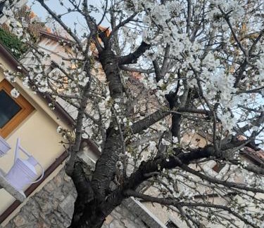 Borgo Grotta Gigante Bed & Breakfast | Bed & Breakfast Barbara
